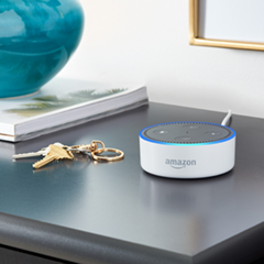 Alexa Skills for Internet of Things (IoT)